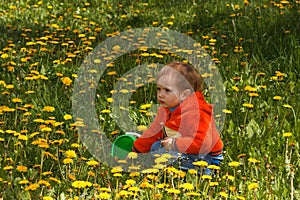 Young boy exploring nature in a meadow