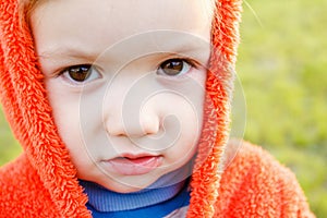 Young boy exploring nature in a meadow