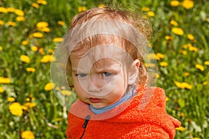 Young boy exploring nature in a meadow