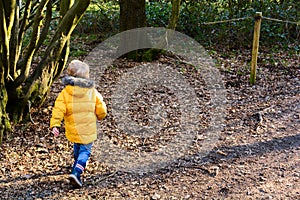 Young boy exploring outdoors