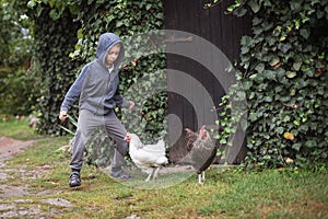 Young boy hases hens