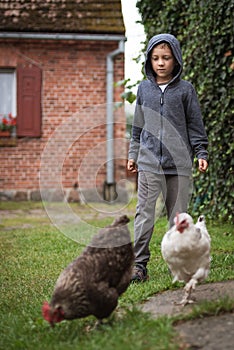 Young boy hases hens