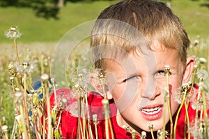 Young Boy Hiding in Dandelions