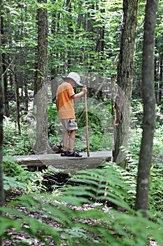 Young boy with hiking stick