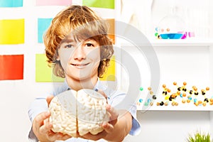 Young boy holding cerebrum model at the classroom
