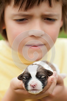 Young boy holding newborn puppy dog with great care