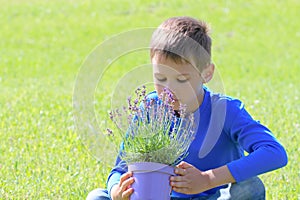 Young boy holding a potted flower lavender outdoors
