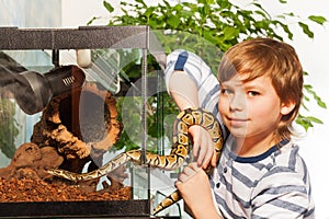 Young boy holding small Royal python