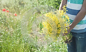 Young boy holding yellow flowers in the field