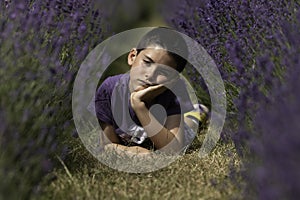 Young boy laying in a field of lavender, daydreaming