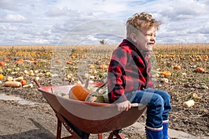 Young boy looking at horizon in a pumpkin field readu for harvest