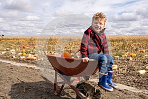 Young boy looking at horizon in a pumpkin field readu for harvest