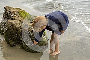 Young boy looking at rocks in tidepools