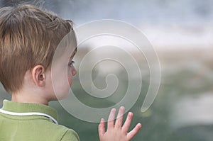 Young Boy Looking Through Window