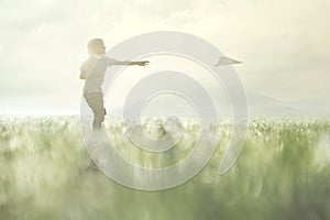 Young boy makes his paper airplane fly in a meadow photo