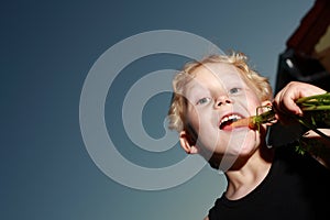 Young boy munching a carrot