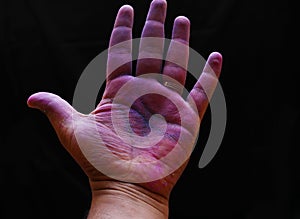 Young boy painted hands to the color powder in festival oh holi