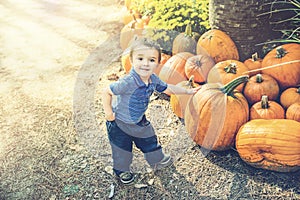 Young Boy Picking Out a Pumpkin