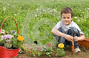 Young boy planting flowers