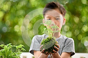 Young boy play with soil and seedling