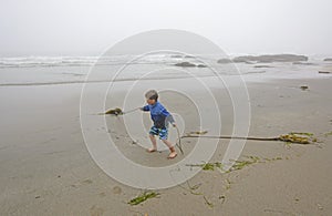 Young Boy Playing with Kelp on the Beach in the Fog