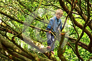 Young Boy Playing In Tree