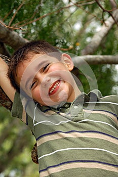 Young boy plays in a tree