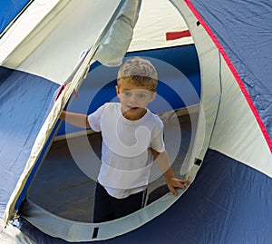 A young boy pleased with the erection of the family tent in the summertime