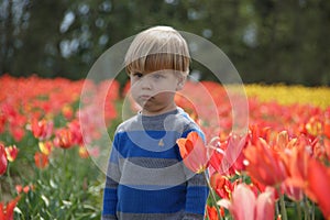 Young boy pouting and looking sad in a tulip field