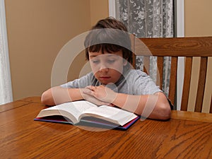 Young boy reading a book