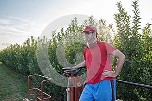 Young boy in a red t-shirt and cap drives an apple picker in a fruit field