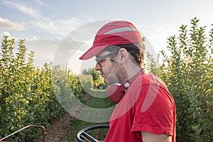 Young boy in a red t-shirt and cap drives an apple picker in a fruit field