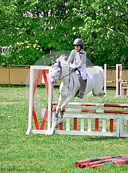 Young boy riding white horse