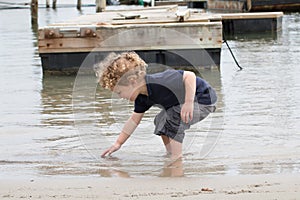 Young Boy Searching for Shells in Harbor