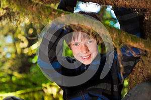 Young boy sitting in a tree smiling