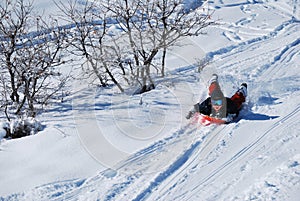 Young boy sledding photo