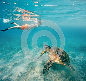 Young boy Snorkel swim with green sea turtle, Egypt