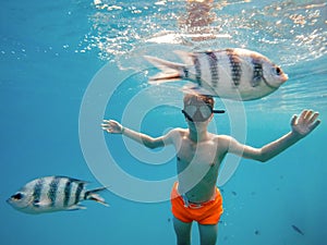 Young boy Snorkel swim in shallow water with coral fish