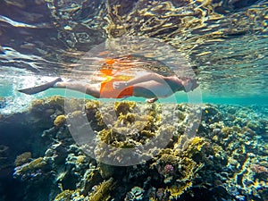 Young boy Snorkel swim in shallow water with coral fish