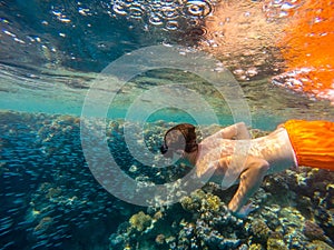 Young boy Snorkel swim in shallow water with coral school of fish