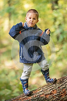 Young Boy standing on Fallen Down Tree Trunk and Catching Balance