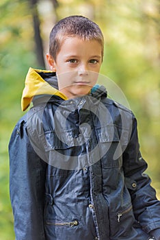 Young Boy standing on Fallen Down Tree Trunk and Catching Balance