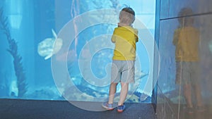 A young boy is standing in front of a large aquarium, looking at the fish inside