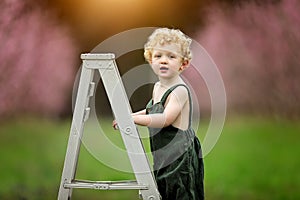 Young boy with stepladder in garden