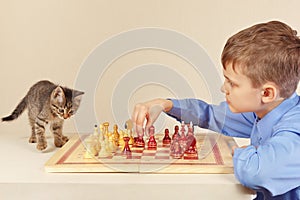 Young boy with striped kitten plays chess.