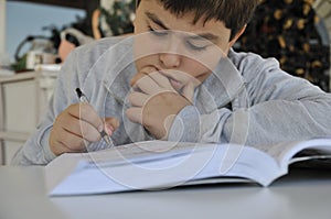 Young boy studying