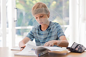 Young boy studying