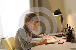 Young Boy Studying at home