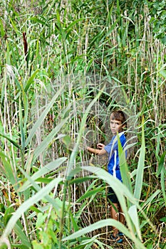 Young boy in a thicket of tall reeds