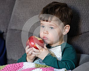 young boy toddler is eating an apple on the couch at home